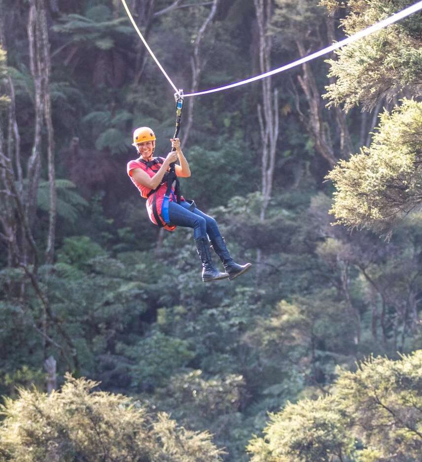 Forest canopy at Driving Creek with zipline tours and walking tracks through the surrounding hills.