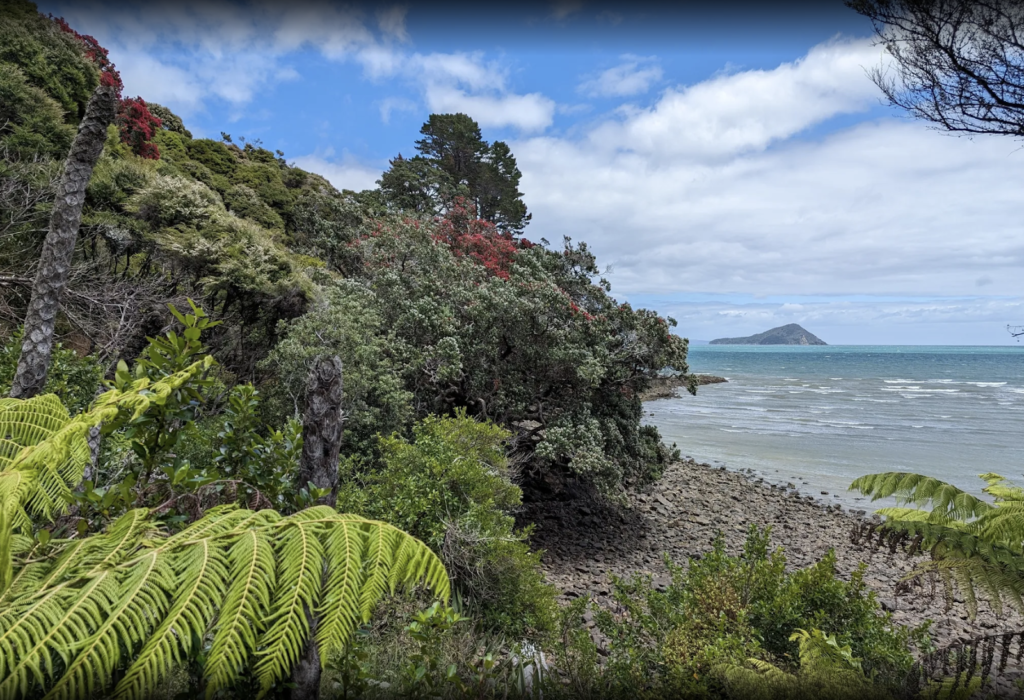 Second image from the Long Bay Walk in Coromandel New Zealand to promote visitors to add this to their list of things to do
