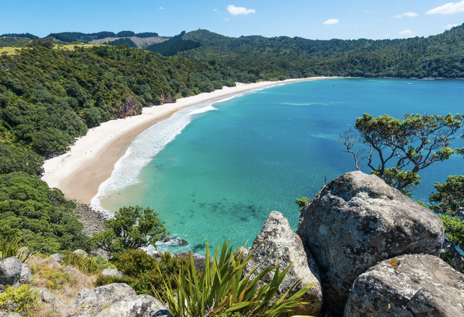 Image of New Chums Beach in Coromandel New Zealand to promote visitors to add this to their list of things to do