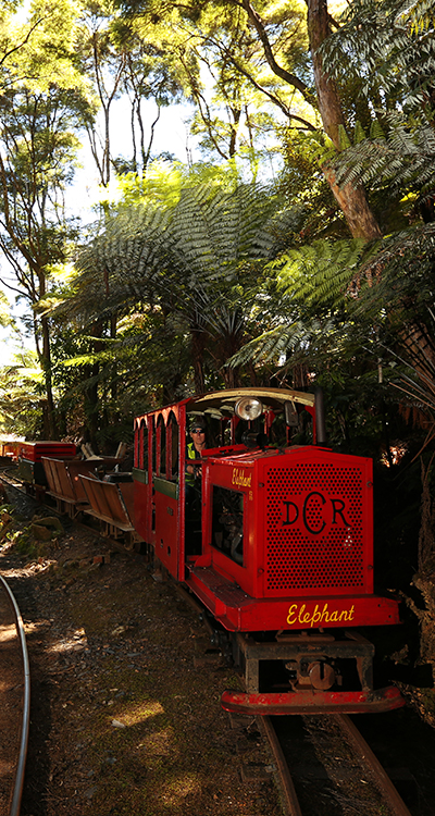 Elephant Train