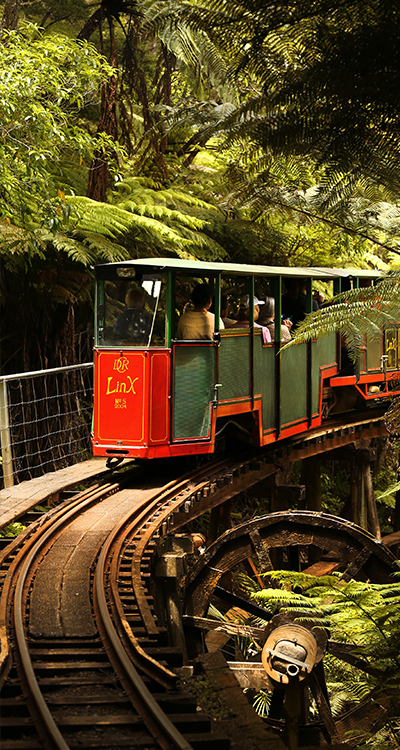 Linx Train