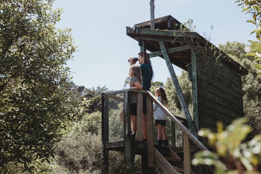5 Eco-Tourism Experiences in New Zealand’s North Island
