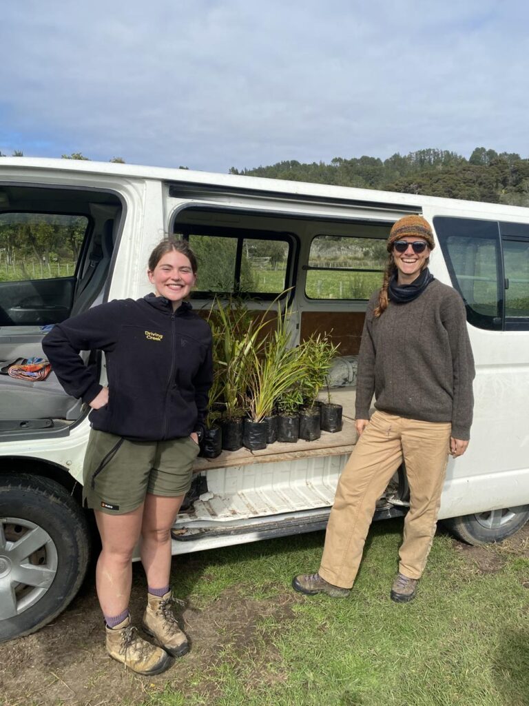 New Native Plantings at Driving Creek
