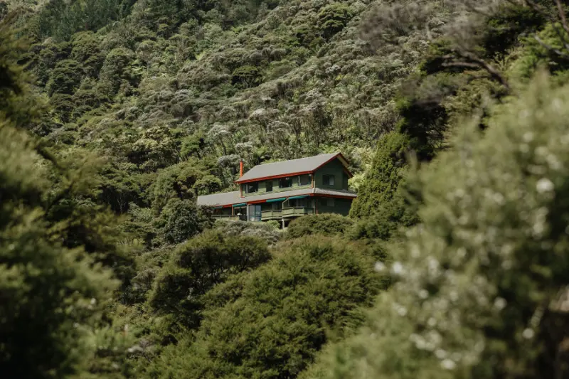 Buffalo Lodge boutique retreat nestled in regenerating native bush above Coromandel town.